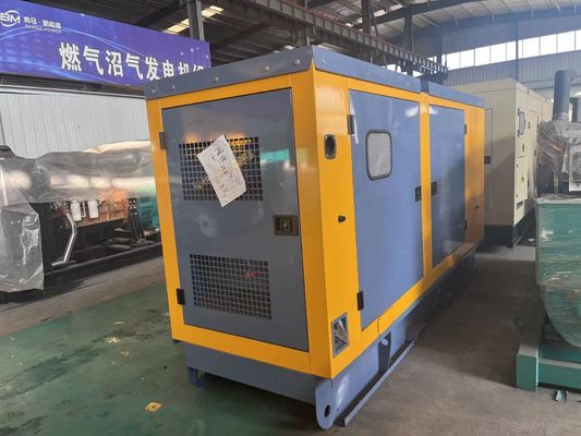 Altoparlante silenzioso e opzioni per il generatore diesel da 80 kW