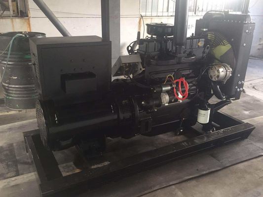 Set di generatori diesel da 30 kW certificati ISO9001 con serie Weifang e filtro d'aria portatile